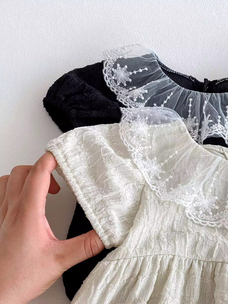 Baby Embriodery Mesh Frill Collar dress